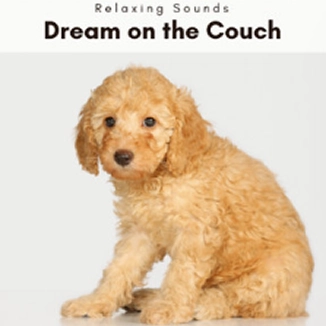 Calm Ocean Sounds for Pets