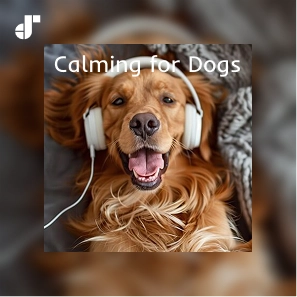 Calming for Dogs