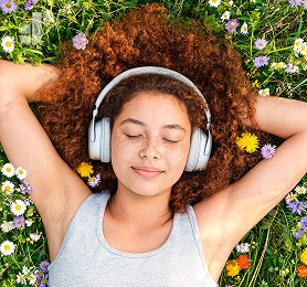Nature Sound Study Music