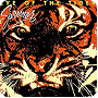 Eye of the Tiger 